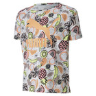 Dečija majica Puma Classics Fruit Tee G