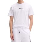 Muška majica Klj Reg back frame tee
