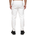Muška trenerka donji deo Puma Evostripe pants dk