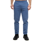 Muška trenerka donji deo Puma Evostripe pants dk
