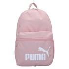 Ranac Puma Phase Backpack