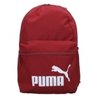 Ranac Puma Phase Backpack