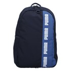 Ranac Puma Phase Backpack II