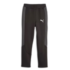 Dečija trenerka donji deo Puma Evostripe Pants Dk B