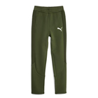 Dečija trenerka donji deo Puma EVOSTRIPE Pants DK B