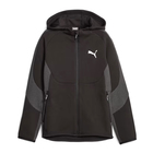 Dečiji duks Puma EVOSTRIPE Full-Zip Hoodie DK B