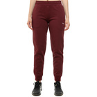 Ženska trenerka donji deo Puma Ess sweatpants cl fl (s)