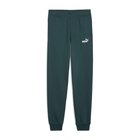 Dečija trenerka donji deo Puma Ess no. 1 logo sweatpants fl b