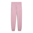 Dečija trenerka donji deo Puma Ess sweatpants cl tr g
