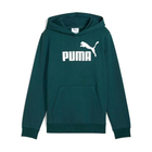 Dečiji duks Puma Ess no. 1 logo hoodie fl b