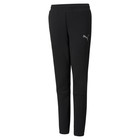 Dečija trenerka donji deo Puma EVOSTRIPE PANTS CL B