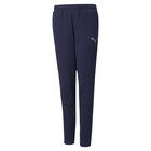 Dečija trenerka donji deo Puma Evostripe Pants cl B