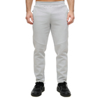 Muška trenerka donji deo Puma Evostripe pants dk