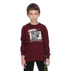 Dečiji duks Champion Skate life crewneck