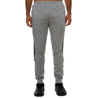 Muška trenerka donji deo Puma EVOSTRIPE Pants