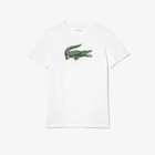 Muška T-Shirt majica Lacoste