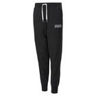 Dečija trenerka donji deo Puma ALPHA SWEAT PANTS CL B