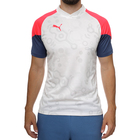 Muški dres Puma individualCUP Jersey