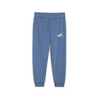 Dečija trenerka donji deo Puma Ess+ Fc Sweatpants Tr