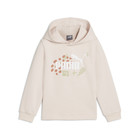 Dečiji duks Puma Ess+ Fc Hoodie Tr