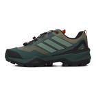 Muške cipele adidas Terrex Skychaser gt
