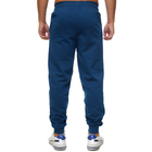 Muška trenerka donji deo 4F Trousers