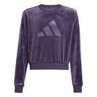 Dečiji duks adidas Jg Hld c swt