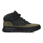Muške cipele Timberland Field trekker