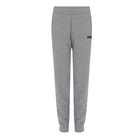 Dečija trenerka donji deo Puma Boys ESS Sweat Pants TR cl