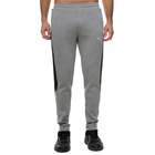 Muška trenerka donji deo Puma EVOSTRIPE PANTS