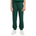 Dečija trenerka donji deo 4F Trousers cas m1761