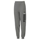 Dečija trenerka donji deo Puma Active Sports Sweat Pants TR cl B