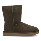 Ženske čizme Ugg CLASSIC SHORT II