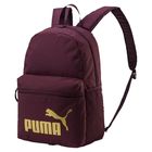 Ranac Puma Phase Backpack