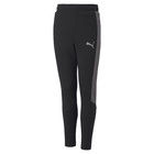 Dečija trenerka donji deo Puma EVOSTRIPE PANTS B