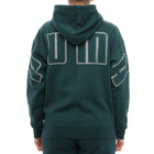 Ženski duks Puma Maximal metallic comfort hoodie fl