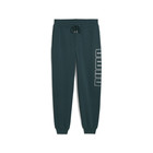 Muška trenerka donji deo Puma Maximal metallic sweatpants fl