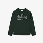 Dečiji duks Lacoste